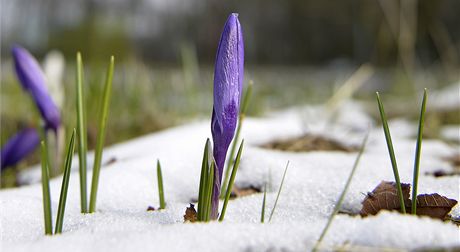 Velikonoce podle meteorolog proprí. Konen by se u vak mlo oteplit. Ilustraní snímek