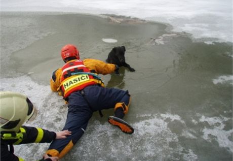 Hasii zachránili psa, pod kterým se v Markvartovicích proboil led.