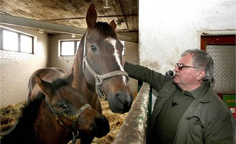  dob nejvtí slávy ml mimoský hebín devt stálých zamstnanc. Te