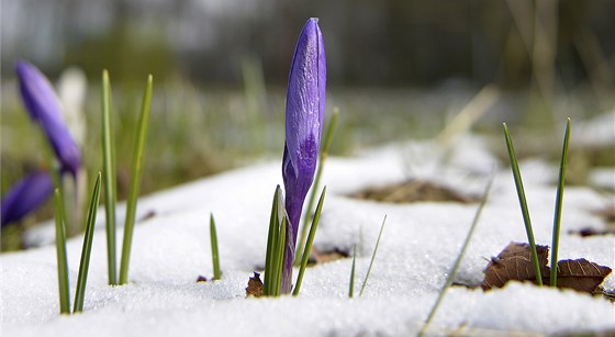 Jaro si dává naas. Ilustraní foto