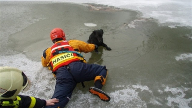 Hasii zachrnili psa, pod kterm se v Markvartovicch proboil led.