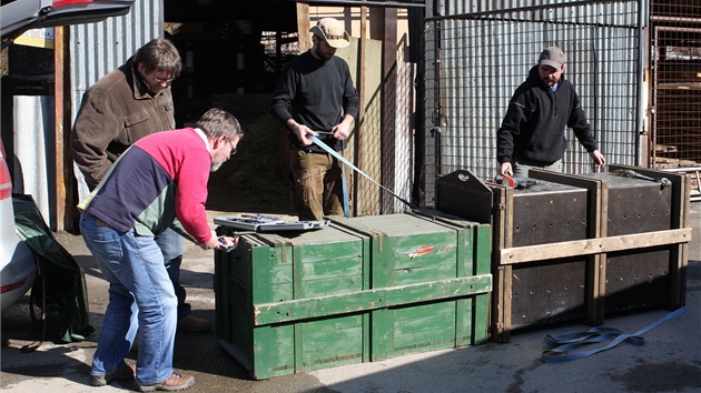 Pracovnci zoo pipravuj levhartici ii na transport do Irska. 