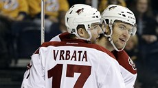 Radim Vrbata a Martin Hanzal z Phoenixu zářili na ledě Nashvillu. Radim Vrbata a Martin Hanzal z Phoenixu zářili na ledě Nashvillu.