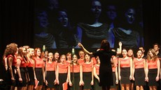 Program benefice zahájil pěvěcký soubor Garrendo z místního gymnázia. (22.... Program benefice zahájil pěvěcký soubor Garrendo z místního gymnázia. (22....