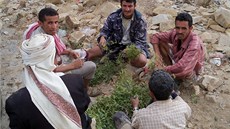 Jementí mui jsou tém bez výjimky posedlí výkáním kátu. Za lehce...