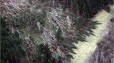 Po orkánu Kyrill zstalo na umav desítky tisíc krychlových metr znieného lesa.