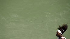 Serena Williamsová na turnaji v Miami