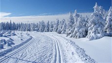 Upravené běžecké tratě v Orlických horách nabízejí běžkařům stopu pro klasiku i Upravené běžecké tratě v Orlických horách nabízejí běžkařům stopu pro klasiku i
