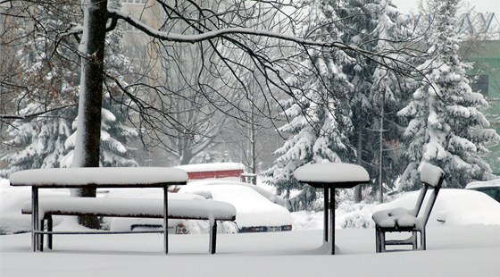 Uplynulý msíc byl nejchladnjím zaátkem jara za sto let. Snímek je z Ostravy (31. ledna 2013).