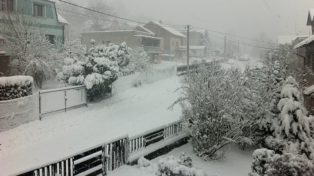 tramberk, severní Morava, okres Nový Jiín (31. bezna 2013).