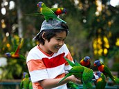 V australskm zooparku Currumbin Sanctuary v Gold Coast zaijete, jak to je,...