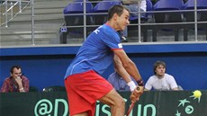 OBTÍŽNÝ ÚDER. Lukáš Rosol se s ním však dokázal vypořádat a zvládl i celé OBTÍŽNÝ ÚDER. Lukáš Rosol se s ním však dokázal vypořádat a zvládl i celé