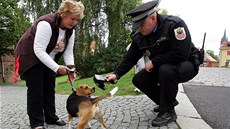Strážník zjišťuje, zda je pes označen čipem. Strážník zjišťuje, zda je pes označen čipem.
