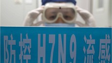 Virus H7N9 dsí odborníky vysokou úmrtností. Nevyluují, e práv on by mohl vyvolat celosvtovou epidemii.