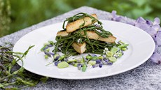 Salát z chmelových výhonků s marinovaným tofu Salát z chmelových výhonků s marinovaným tofu