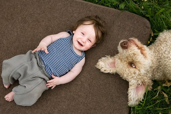 Dti vychovávané v kontaktu se psy jsou podstatn mén ohroeny bnými alergiemi. Ilustraní snímek