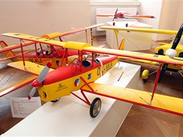 Na letecké výstav v Holeov je k vidní tém 170 model. Na snímku je...