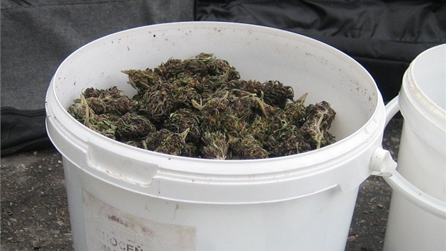 Celnci zabavili u amberka na Pardubicku 0,7 kilogramu marihuany v hodnot 175 tisc korun.