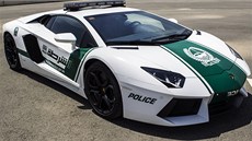 Nový hlídkový vz dubajské policie v bílé a zelené barv je schopen vyvinout...
