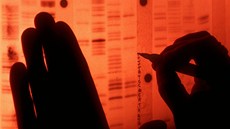 Vypisování sekvence DNA. Písmena označují jednotlivé báze kyseliny. Vypisování sekvence DNA. Písmena označují jednotlivé báze kyseliny.