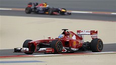 Fernando Alonso pi tréninku na Velkou cenu Bahrajnu