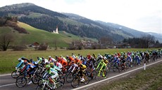 Cyklistický peloton ve druhé etapě na Giro del Trentino. Cyklistický peloton ve druhé etapě na Giro del Trentino.