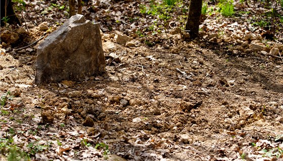 Uhoelé fenky kynologové pochovali do spoleného hrobu.