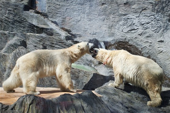 1. máj mete oslavit i v trojské zoo