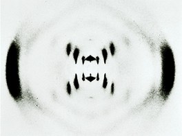 Snmek DNA, kter rentgenovou krystalografi podila Rosalind Franklinov...