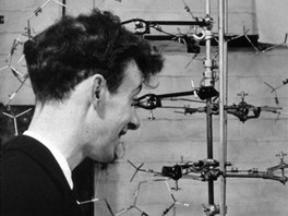 Watson a Crick ped svm modelem DNA v cambridgsk laboratoi v roce 1953