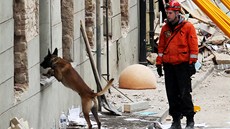 Kynologové se psy prohledali dm po výbuchu. Aby zjistili, zda v sutinách nezstali lidé (29. dubna 2013).