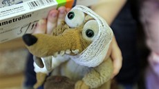 Nemocnice plyšových zvířátek v sále Břetislava Bakaly. Nemocnice plyšových zvířátek v sále Břetislava Bakaly.