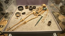 výstava muzeum plzeň historie výstava muzeum plzeň historie