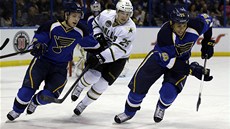 Vladimír Sobotka (vpravo) a Ryan Reaves (vlevo) ze St. louis se snaí zastavit