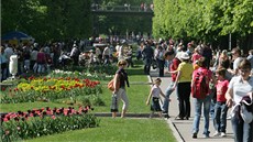 Jarní etapa květinové výstavy Flora Olomouc. (Ilustrační snímek) Jarní etapa květinové výstavy Flora Olomouc. (Ilustrační snímek)