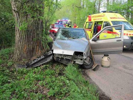 Auto mezi obcemi Smiice a ernoice narazilo do stromu u silnice.