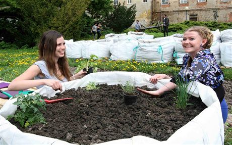 V areálu olomouckého letního kina oteveli komunitní zahradu. Lidé si tu mohou