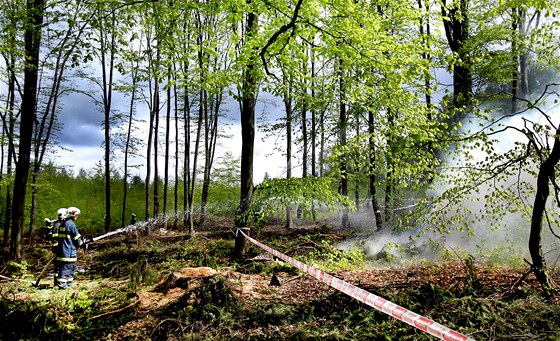 S rozsáhlým poárem lesa hasii cvin bojovali ve Vojenském újezdu Bezina.
