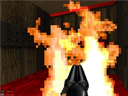 Brutal Doom