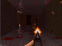 Brutal Doom