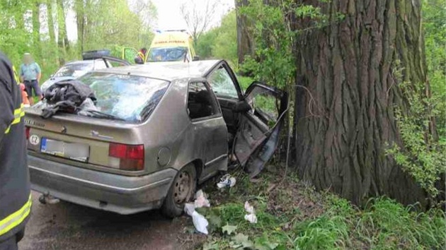 Auto mezi obcemi Smiice a ernoice narazilo do stromu u silnice.