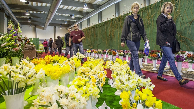 Ve vstavn hale je speciln expozice tulipn, narcis a lili.