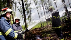 S rozsáhlým poárem lesa hasii cvin bojovali ve Vojenském újezdu Bezina.