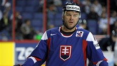 VETERÁN. Slovenský útočník Jozef Stümpel se po loňské absenci opět vrátil do VETERÁN. Slovenský útočník Jozef Stümpel se po loňské absenci opět vrátil do