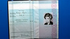 Pas princezny Diany na výstav Diana: A Celebration