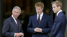 Princ Charles a princ William