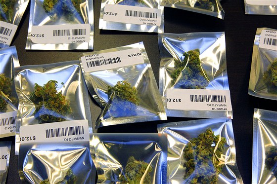 Podle zjitní policie prodala tveice obvinných marihuanu v nkolika desítkách pípad. (ilustraní snímek)