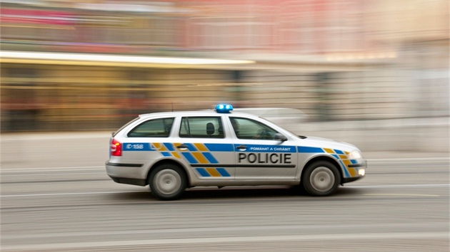 Policie v akci (ilustraní foto)