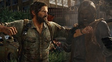 The Last of Us