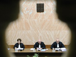 Mstopedsedkyn soudu Milada Tomkov, pedseda soudu Pavel Rychetsk a soudce